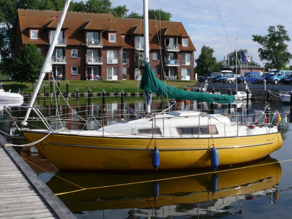 elise36